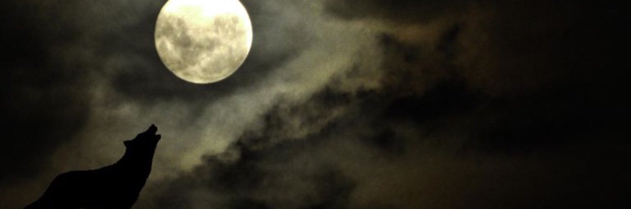 Carlos Cevallos banner
