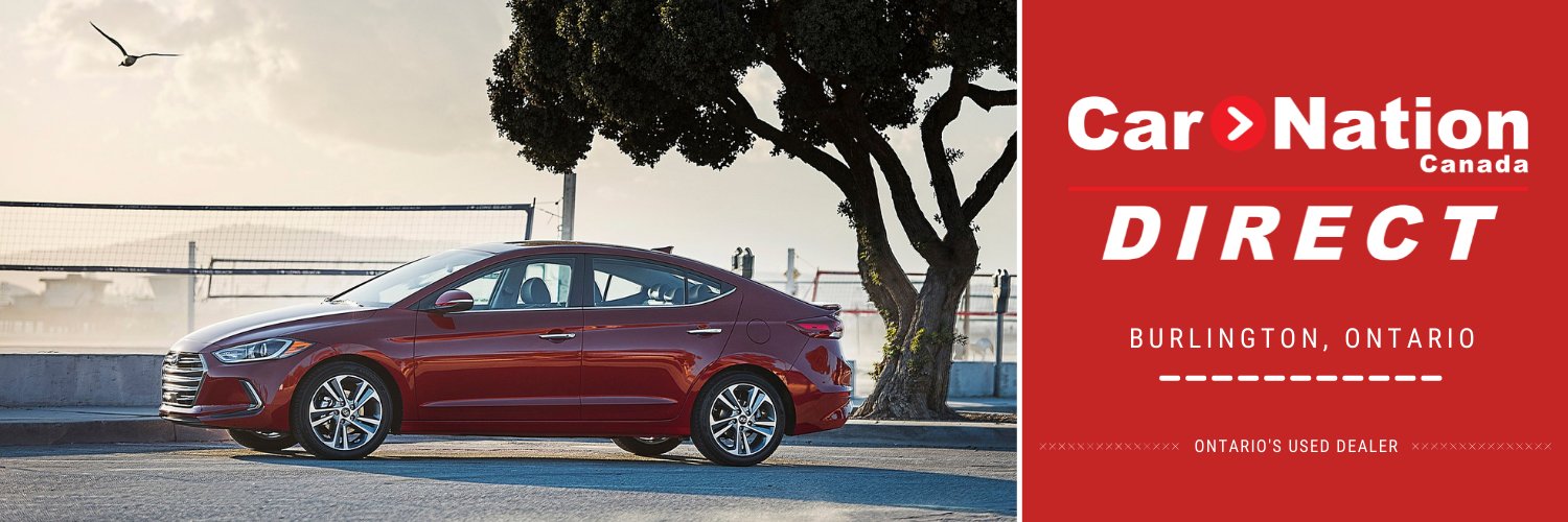 carnationdirect's profile banner image