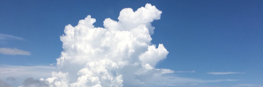 totalnegativity's profile banner image