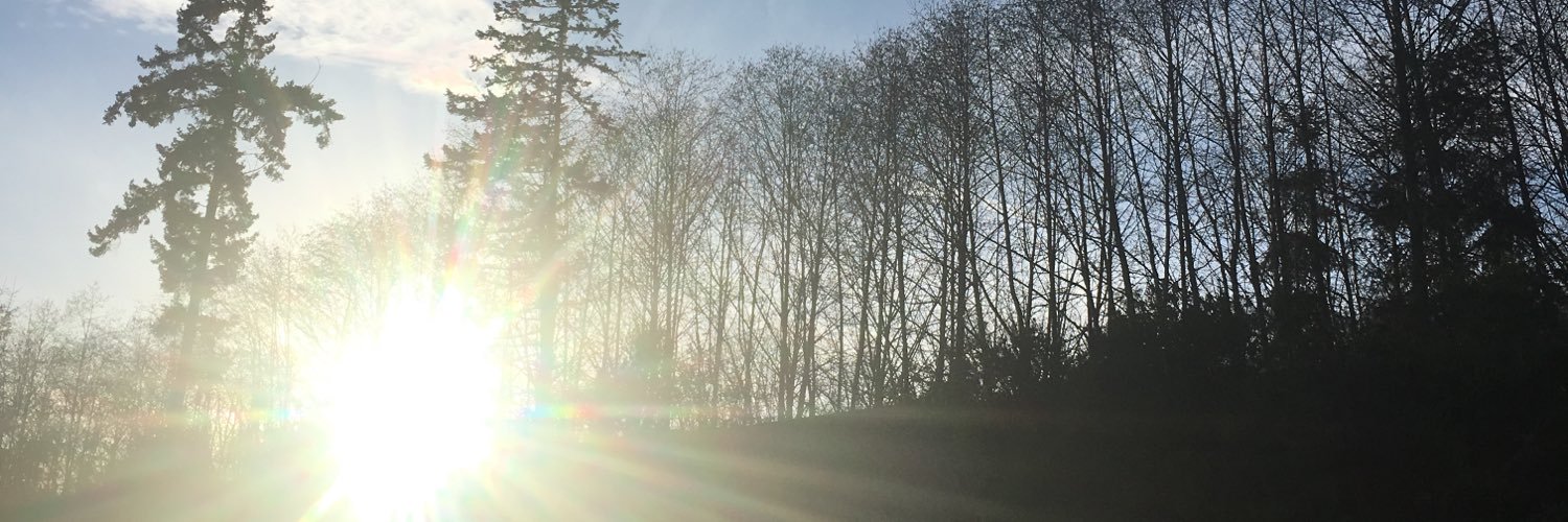 EthanShortie's profile banner image
