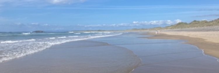 Deirdre Nally banner