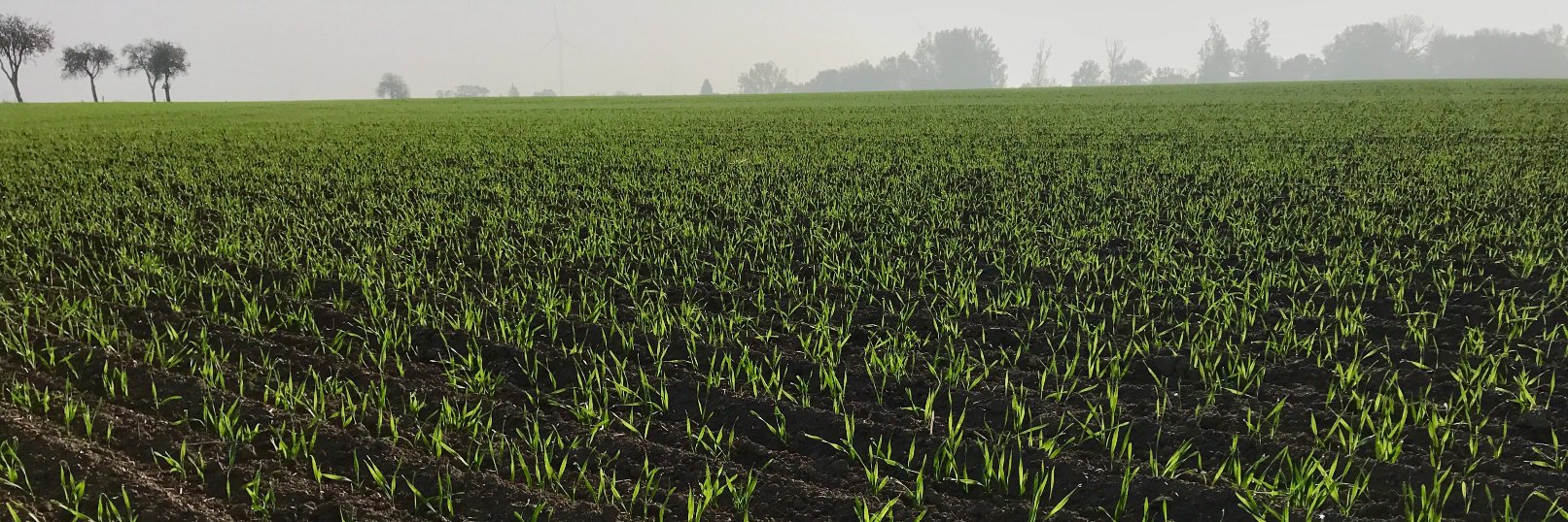 Do_Ne_Farming's profile banner image