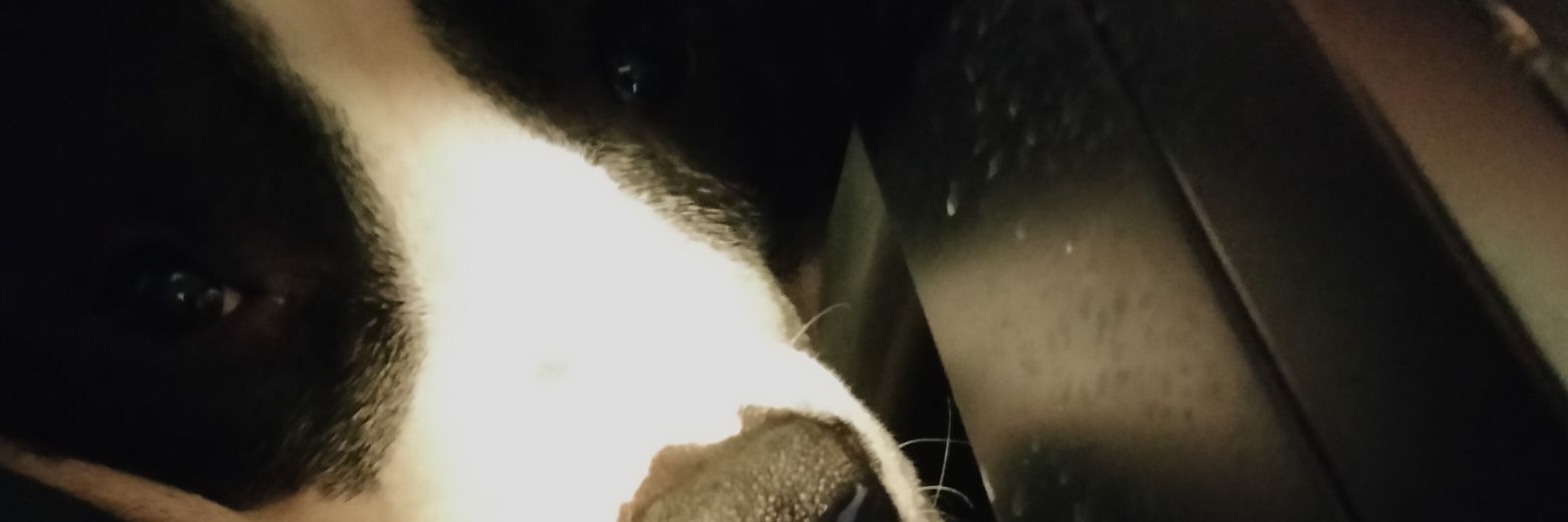 needlessweight2's profile banner image