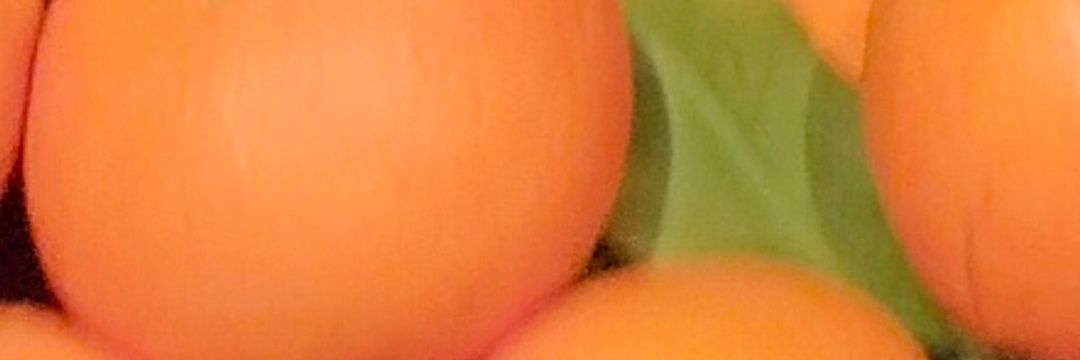 acebeyrolando39's profile banner image