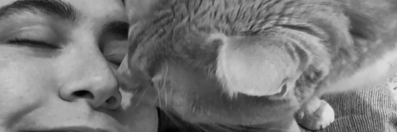 _laurab11's profile banner image