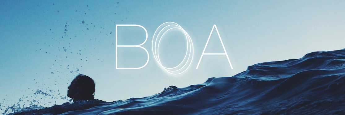 BOA banner