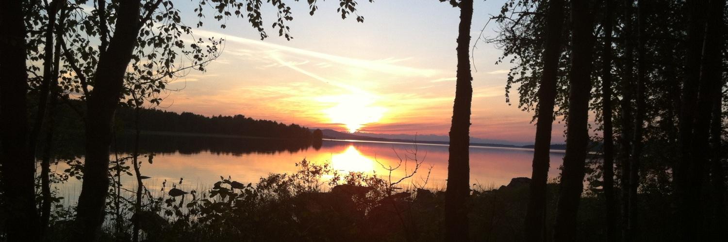 Lennart Lindquist banner