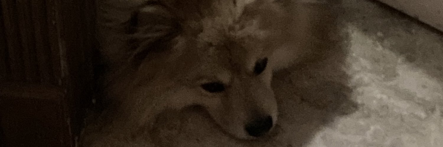 dat_hungry_dude's profile banner image