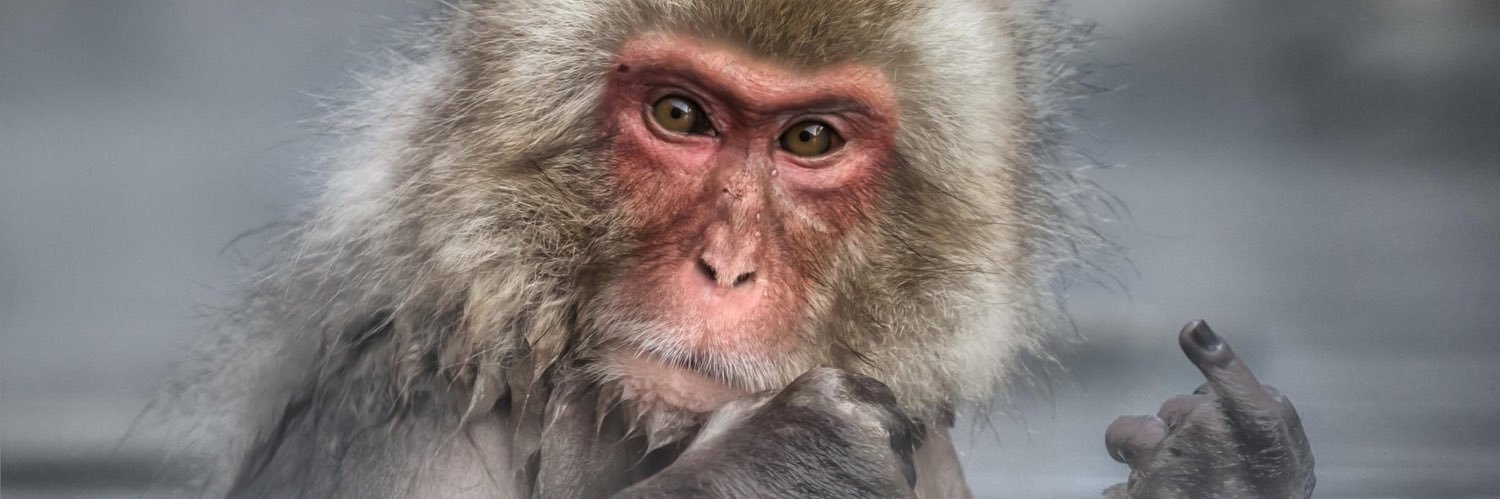 LukeZavelloni's profile banner image