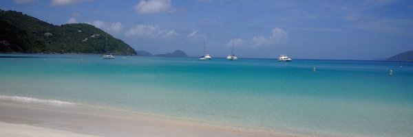 tweectivist Profile Banner