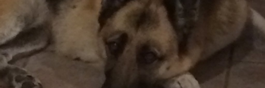fixitboud's profile banner image