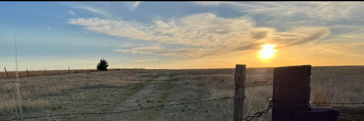 FalcoAdriane's profile banner image