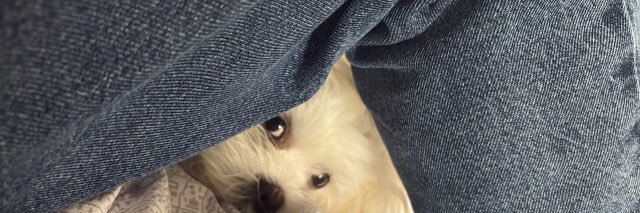 dudalizzle's profile banner image