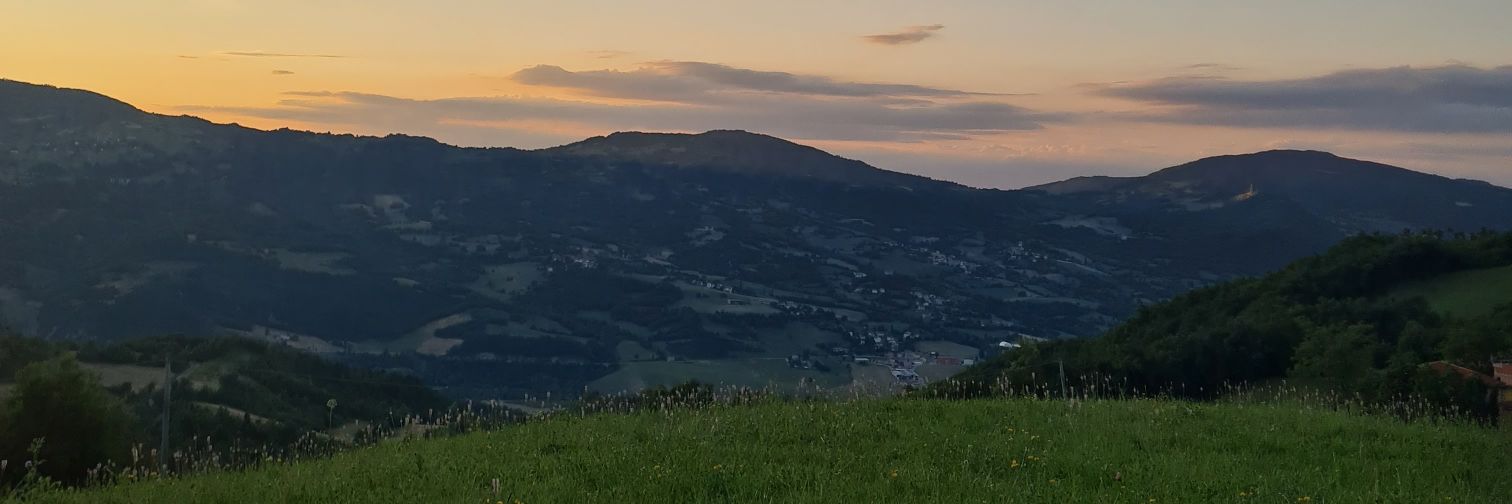 fatilumens's profile banner image