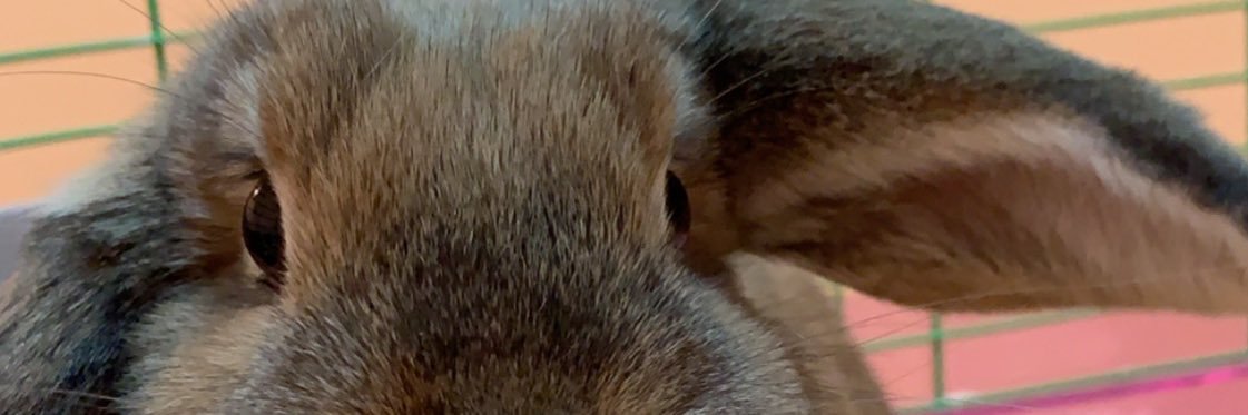 jaceeestes's profile banner image