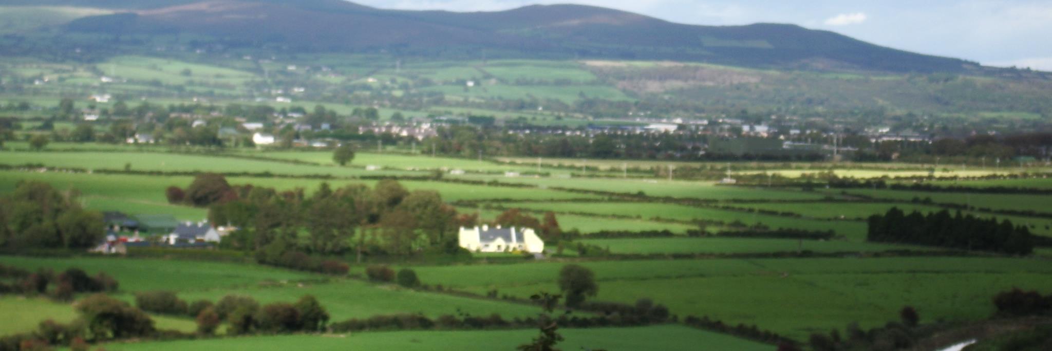 SusanMcD3's profile banner image