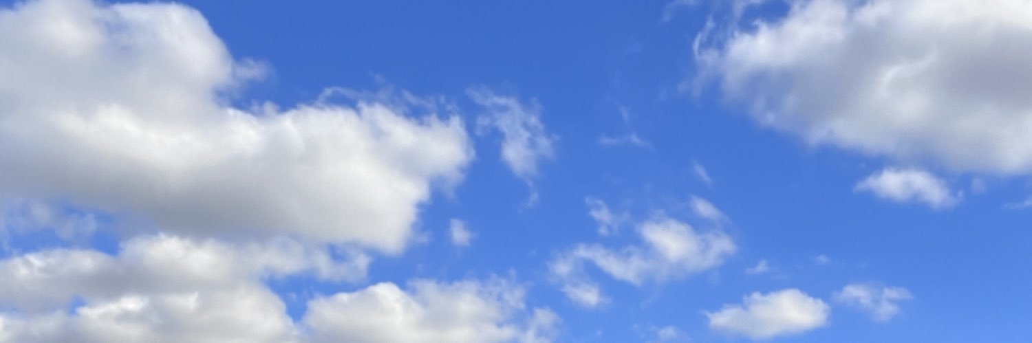 jocelinee_132's profile banner image