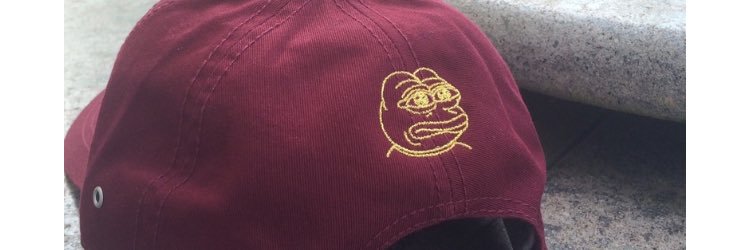 Lise 🇵🇸 banner