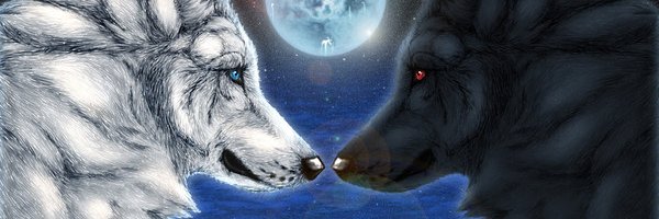 Ludi59230's profile banner image