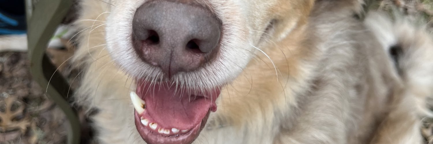 tomfeltthis's profile banner image