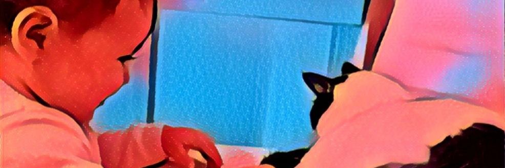 Madokanto's profile banner image