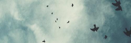 NonSenseHandle's profile banner image