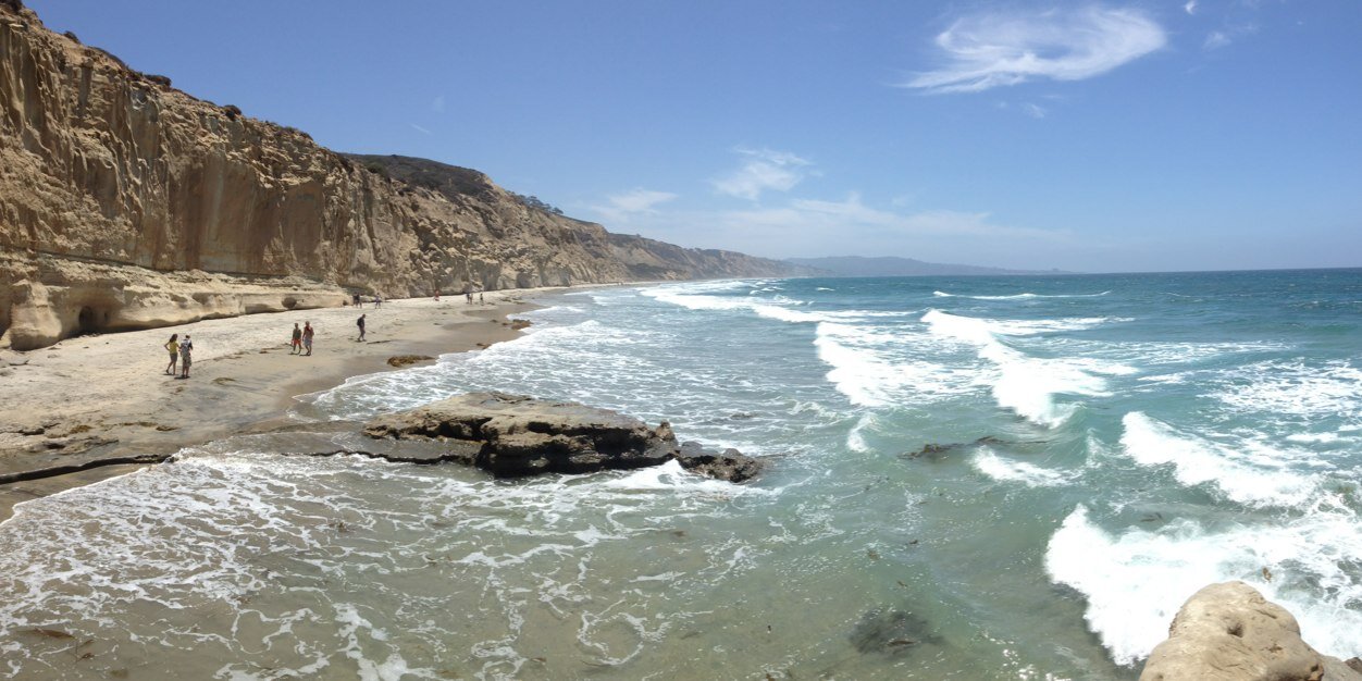 San Diego Native banner