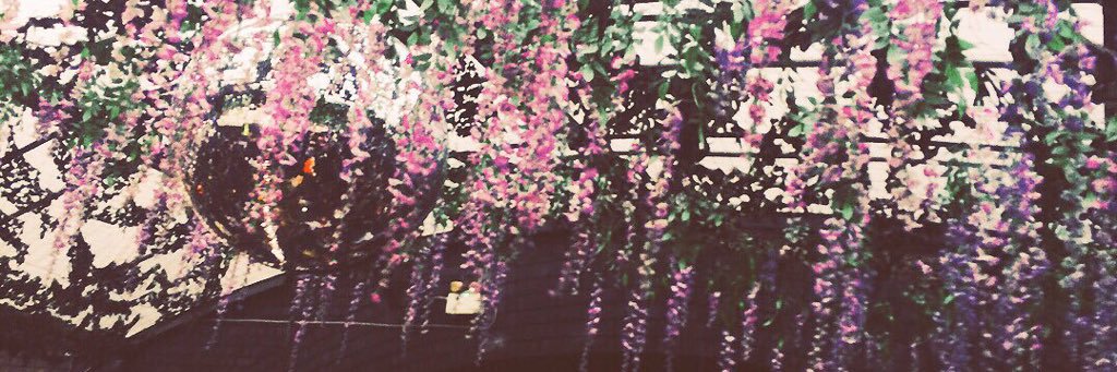 reebmyster's profile banner image