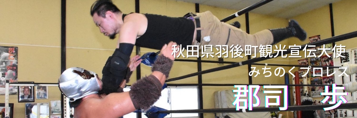 Gunji_Michipro's profile banner image