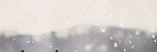 smokersjk's profile banner image