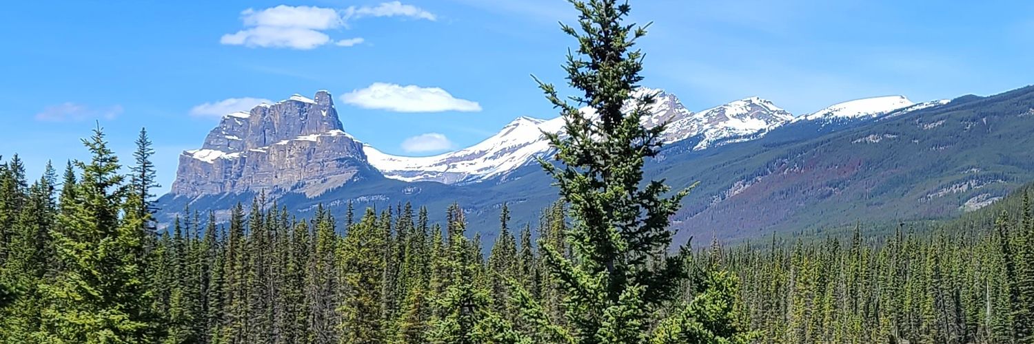 Michael S. Kallos P.Eng. he/him 🇨🇦 banner