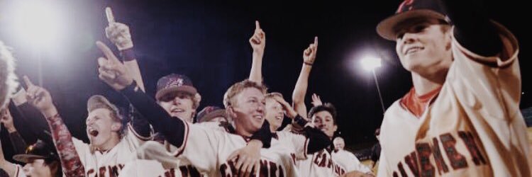 Mick Madsen banner