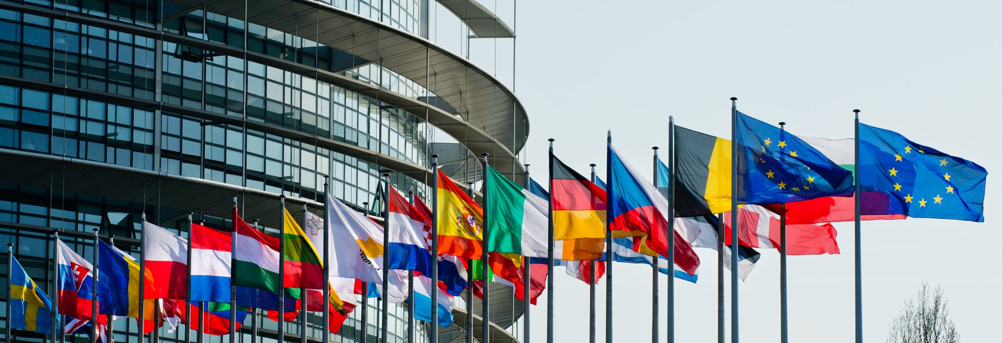 Monika Hohlmeier banner