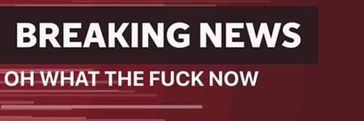 MicheleDavidow's profile banner image