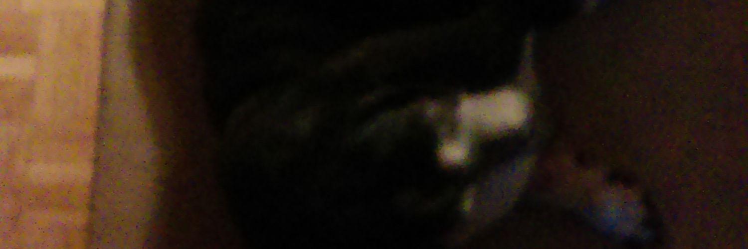 schmalhofe's profile banner image