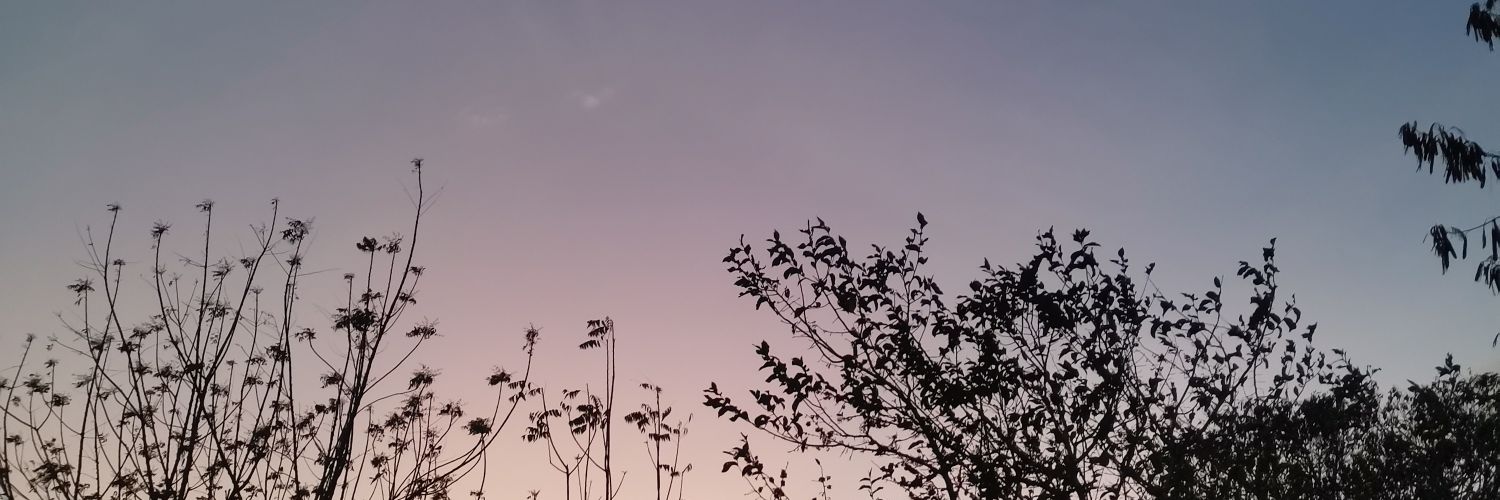Jess_Beep's profile banner image