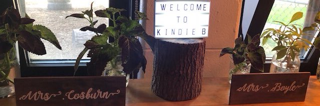 KindieBTDSB's profile banner image