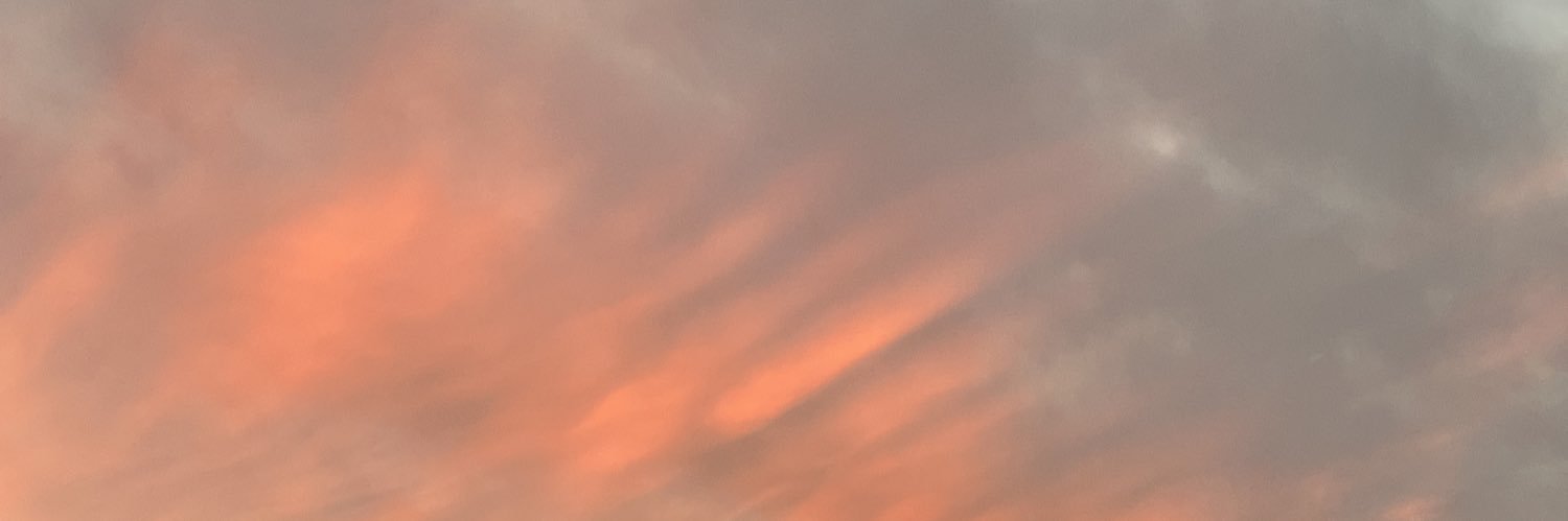 butterflynotesx's profile banner image