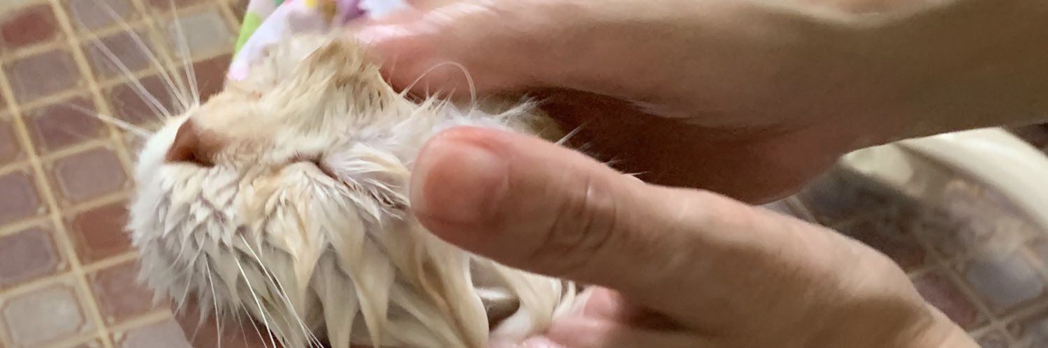 tmick6's profile banner image