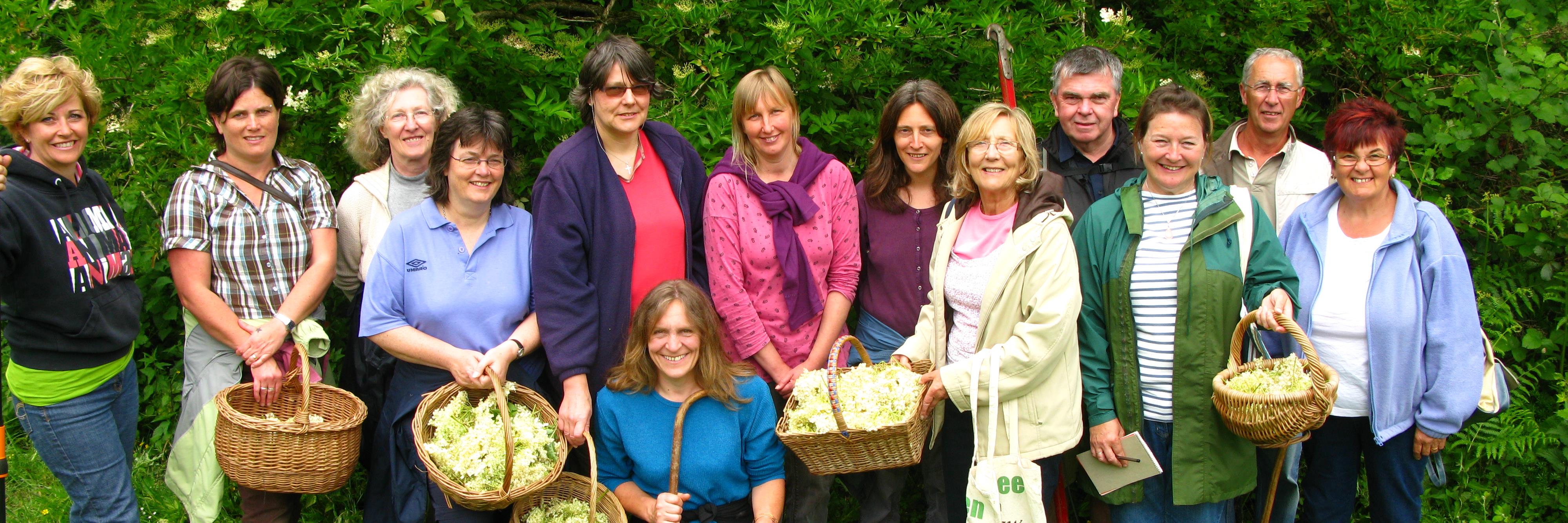 TreesforHealth's profile banner image