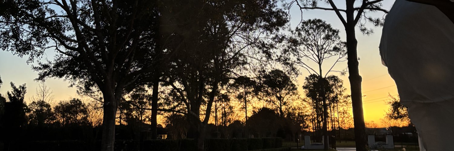 itzel_ysm's profile banner image