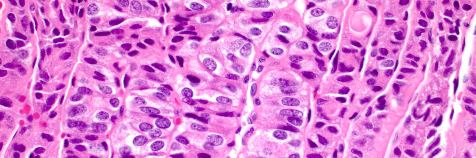 Peter Sadow, MD, PhD banner