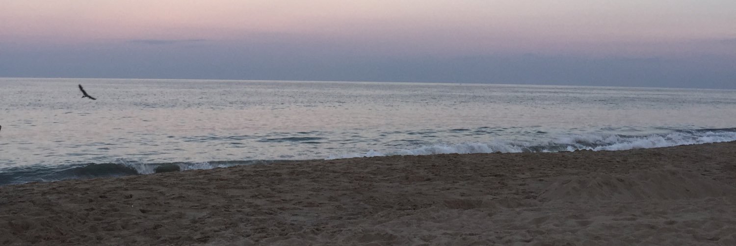 mmarchiani_'s profile banner image