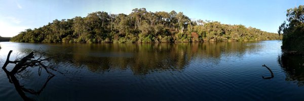 lucysmaxwell Profile Banner