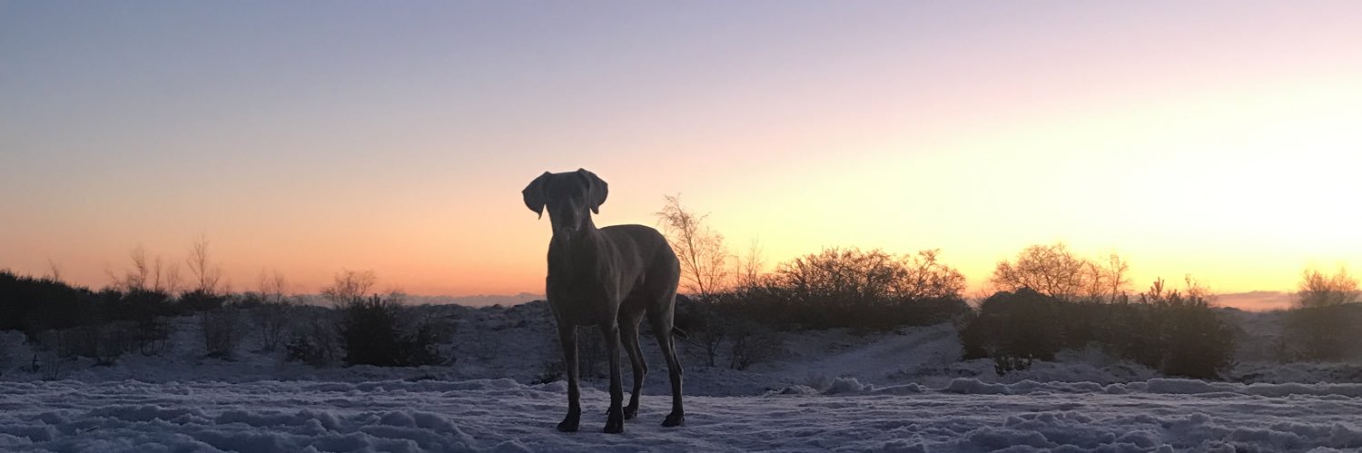 dustanddead's profile banner image