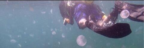 DIVE0099's profile banner image