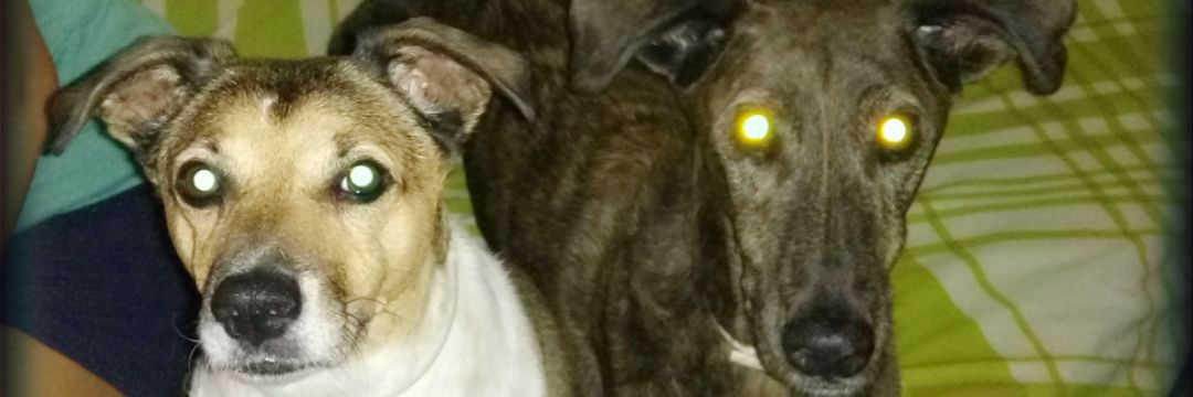 AnukyStreet's profile banner image