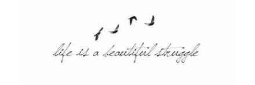 Erin_Kawa's profile banner image