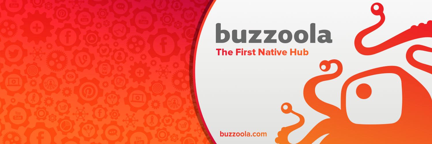 Buzzoola's profile banner image