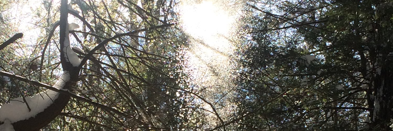 BekahZook's profile banner image